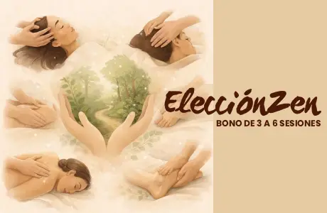 placa-bono3-eleccionzen